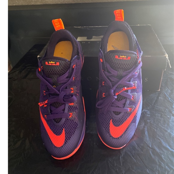 lebron 12 purple
